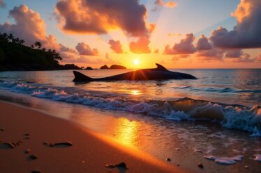 À la découverte des créatures terrifiantes et menaçantes des Fidji