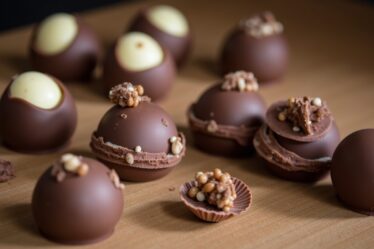 À la découverte des créateurs des chocolats Favorina : origine et secrets du fabricant
