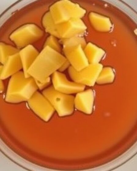 Recette et préparation détaillée : Punch pour 50 convives