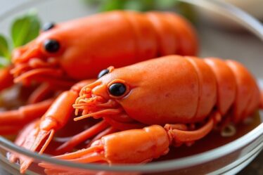 Guide pratique : Comment conserver les crevettes cuites ? Durée et astuces pour les garder fraîches
