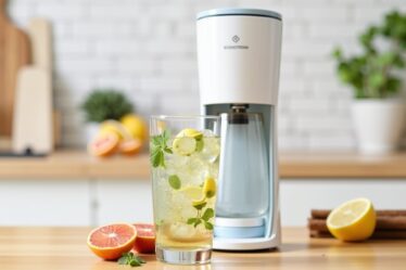 Quels sirops peut-on utiliser avec une SodaStream ? Guide complet des concentrés compatibles
