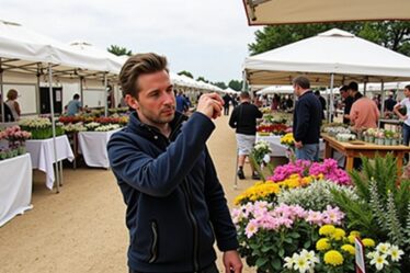 Marché de Vintimille : Guide complet pour préparer votre visite, horaires et conseils pratiques