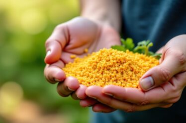 Graines de courge : découvrez leurs bienfaits insoupçonnés, risques potentiels et effets secondaires à surveiller